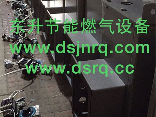 东升气化器30KG装...