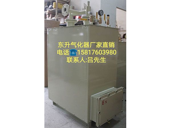 东升气化器