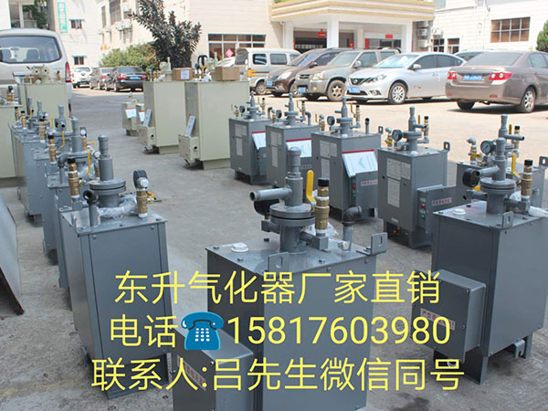 气化器成品