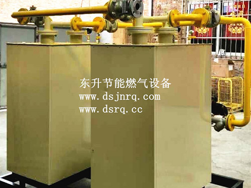 佛山500KG气化器...