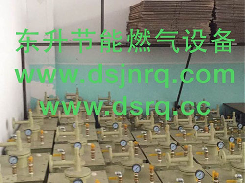 东升防爆气化器