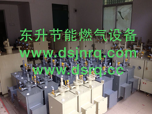 东升燃气气化器厂家