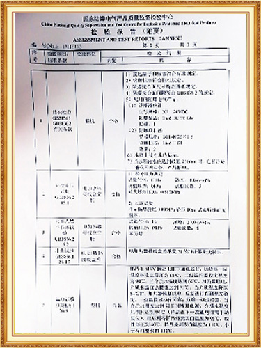 检测中心检验报告