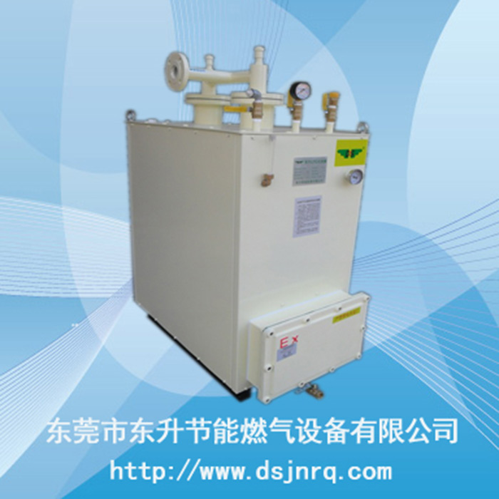 丙烷300KG气化器
