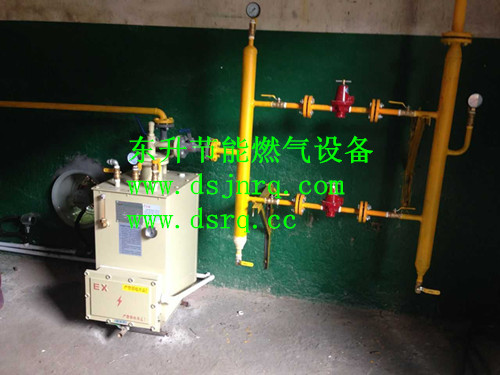 东莞100KG气化器...